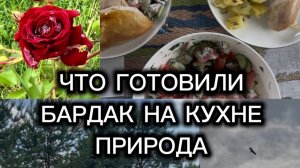 Один день из жизни. Что готовили. Бардак на кухне. Природа