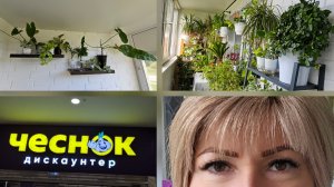 11.07.2026 г Комнатные растения на моём балконе/ Коррекция татуажа/ Покупки