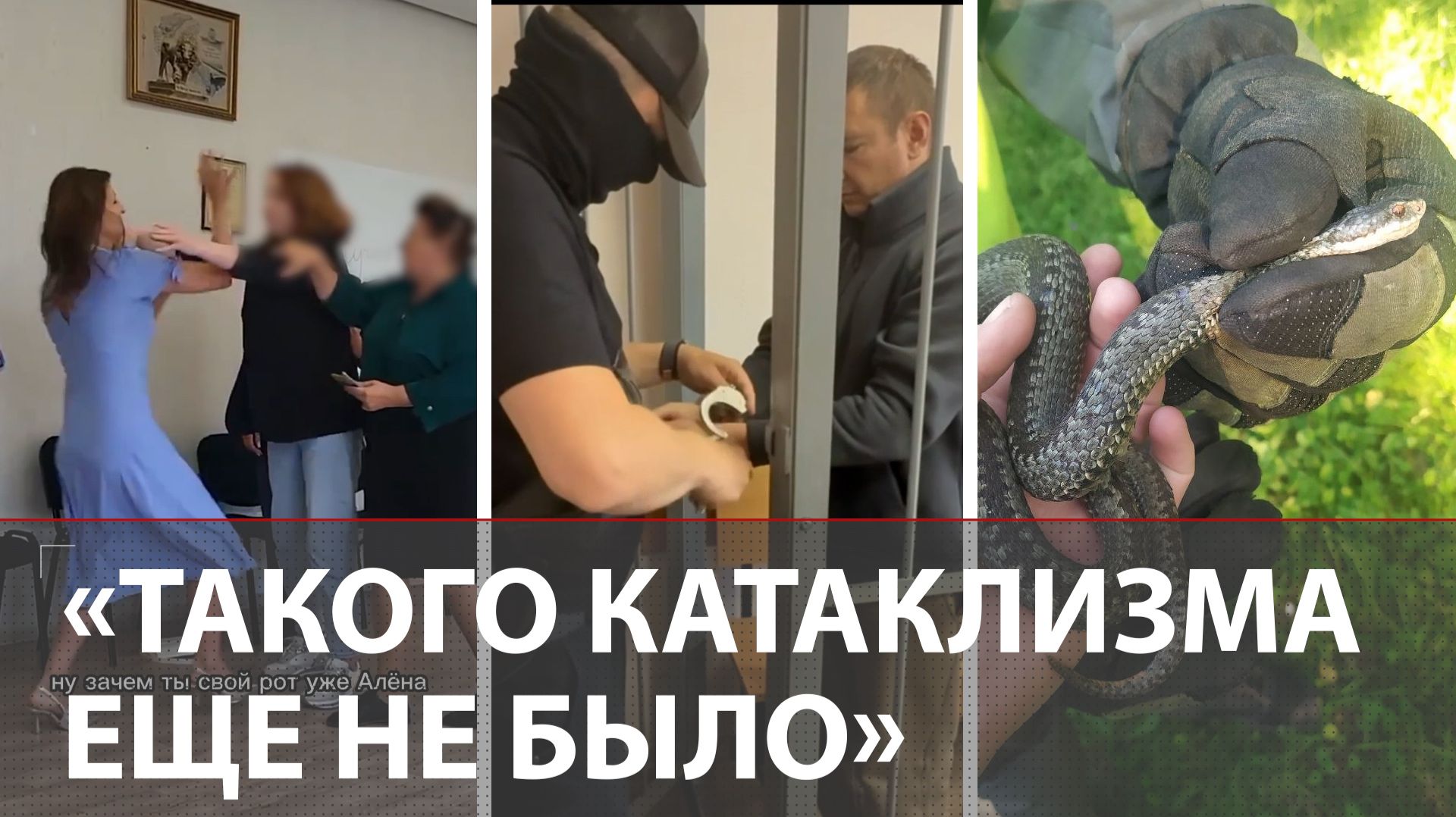 «Ну что ты мне сделаешь?!» | Убийца девочки в СИЗО | Шлепателя на моноколесе ищут | Спасли гадюку смотреть онлайн