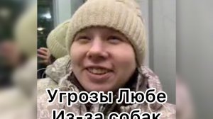 Всё в кучу. Угрозы Любе из-за собак
