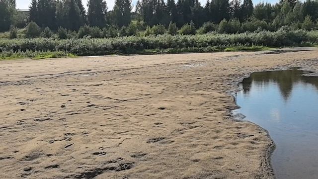 Мой план на день : лежать. смотреть онлайн