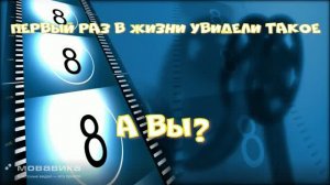 Не ожидал так много