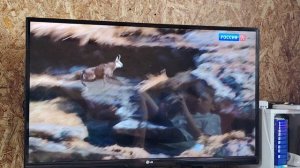 Фрагмент эфира Россия К (11.07.2026). Не обращайте внимание на посторонние звуки