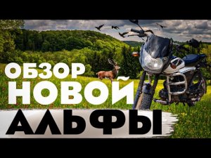 [4K] ОБЗОР МОПЕДА ALPHA RX 11 🏍