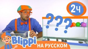 Утонет или всплывёт_ _ Изучай этот мир вместе с Блиппи _ Обучающие видео для детей _