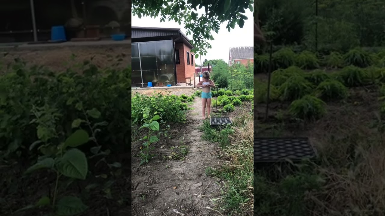 Лето ах лето , лето тёплое будь со мной 🌶🌈🔥🌕 смотреть онлайн