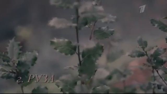 Владимир Мигуля. Мелодия судьбы