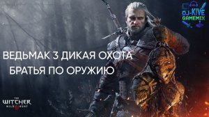Ведьмак 3 ДИКАЯ ОХОТА с модификацией БРАТЬЯ ПО ОРУЖИЮ #14