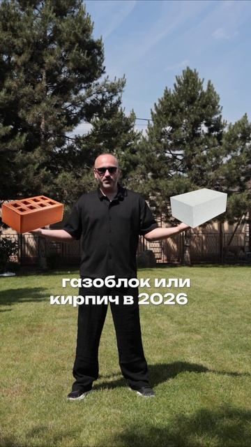 Газоблок или кирпич?