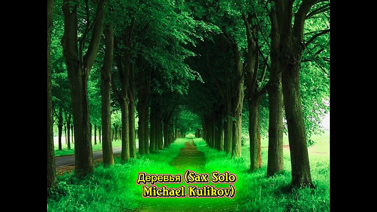 @Bogia-korovka - Деревья (Sax Solo Michael Kulikov) смотреть онлайн