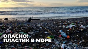 Загрязнение Черного моря вызывает беспокойство специалистов