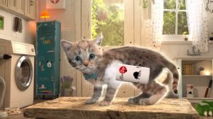 Приключенческие образовательные игры Little Kitten для дошкольников — играйте весело Геймп