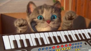 Развивающие игры для дошкольников с маленьким котенком - играйте в веселые обучающие игры