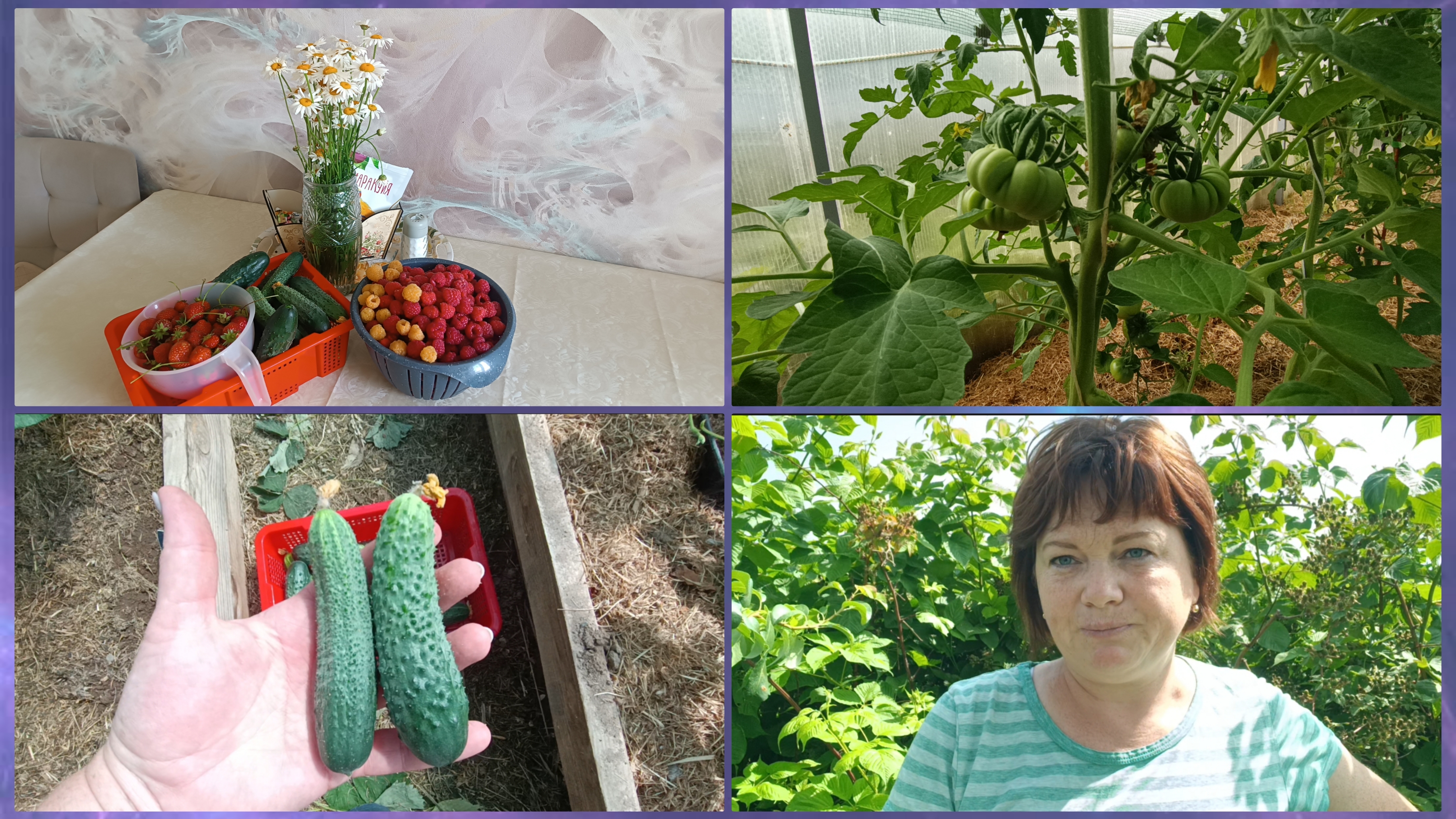 Собираю урожай.У кого дела,а у кого и делишки.Сравнение🥒 смотреть онлайн
