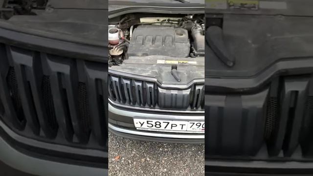 Skoda Kodiaq 4WD 2021г. 2.0 D DQ 381