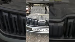 Skoda Kodiaq 4WD 2021г. 2.0 D DQ 381