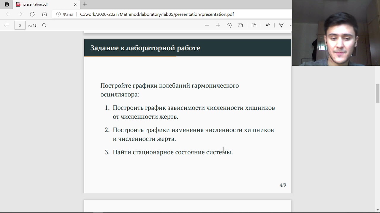 Доклад по презентации. Модель хищник-жертва смотреть онлайн