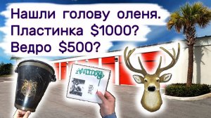 Нашли голову оленя. Ведро $500? Пластинка за $1000? Находки в брошенных складах.