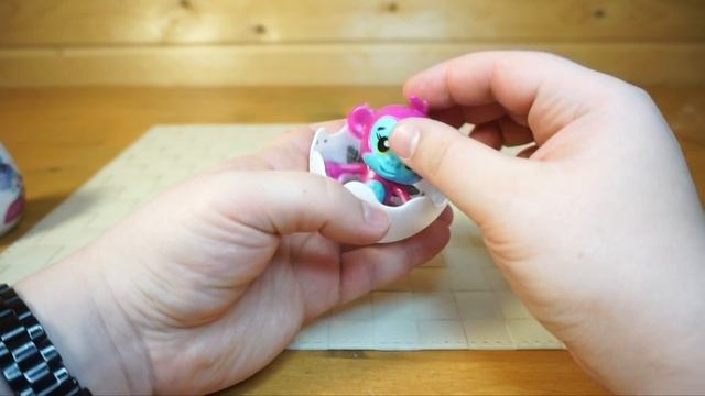 ОГРОМНЫЕ ЯИЦА Хетчималс ПОДДЕЛКА HATCHIMALS ОБЗОР ТОВАРИЩА САФРОНОВА смотреть онлайн