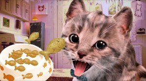 Приключенческие развивающие игры Little Kitten для дошкольников — играйте весело Геймплей