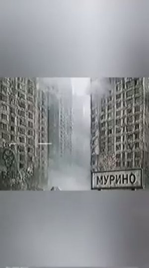 МУРИНО ПРЕДИСТОРИЯ 1-6 ЧАСТИ Murino мурино Автор в описании видео