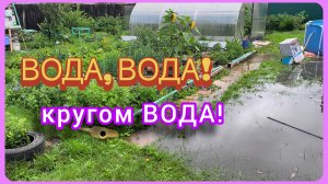 СВЕТОПРЕСТАВЛЕНИЕ 😱
