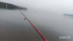 Удачная рыбалка Владивосток (удача,морская звезда и Лиса Алиса в прилове)