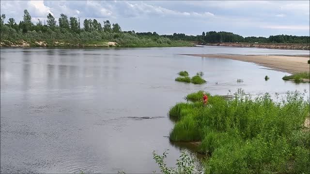 Охота за щукой в низовьях реки Ветлуга #щука #ветлуга смотреть онлайн