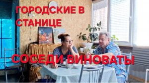 1350 Во Всём Соседи виноваты. Жизнь Городских в станице на юге.