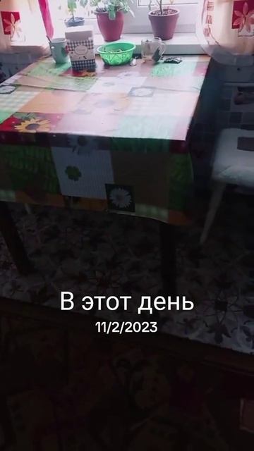 Анекдот на ночь 🤣!