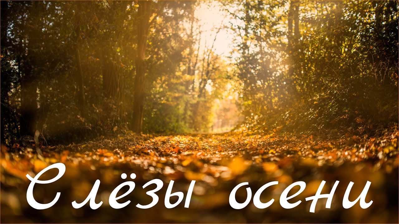Слезы осени-музыка для души,гитара фингерстайл,скрипка. Autumn relax music guitar fingerstyle,violin смотреть онлайн