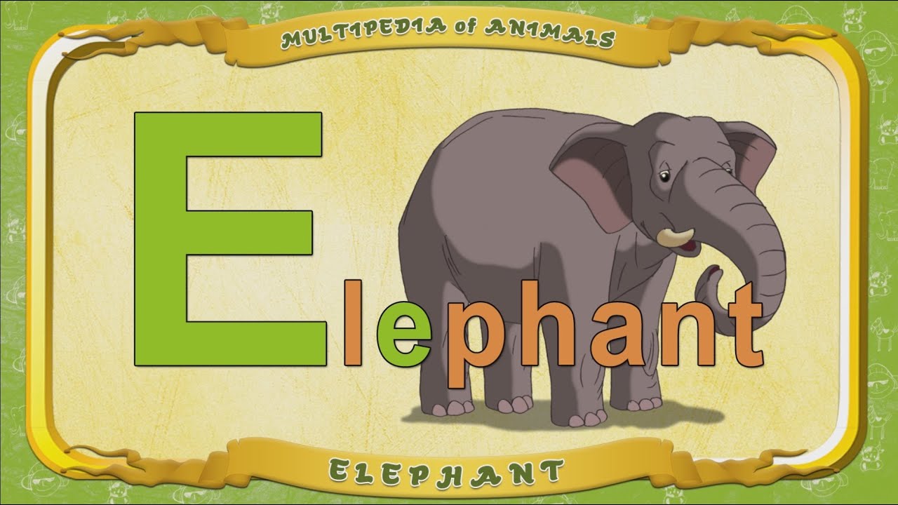 Multipedia of Animals. Letter E - Elephant смотреть онлайн