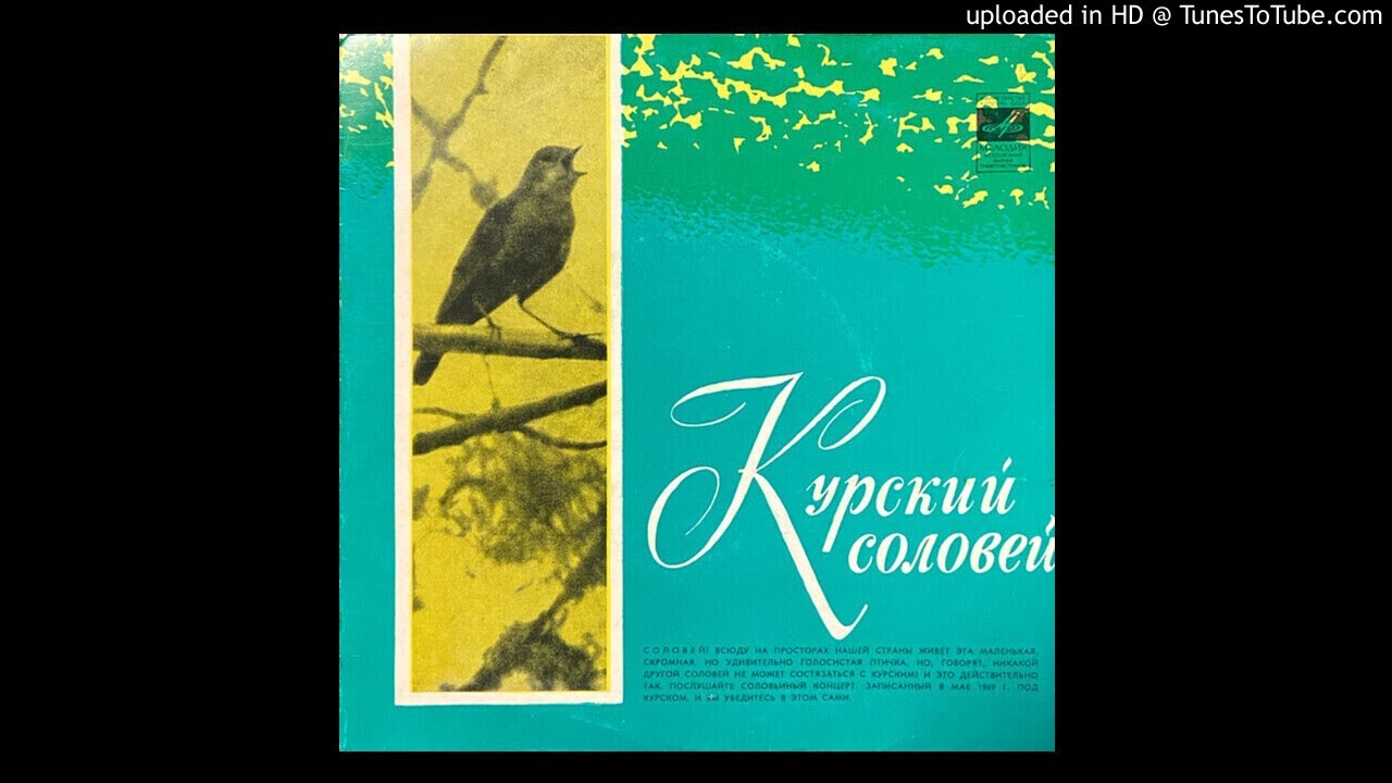 Здравствуй, Курск ("Курский Соловей") смотреть онлайн