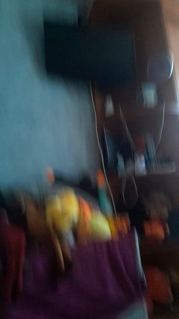 голубь на балконе смотреть онлайн