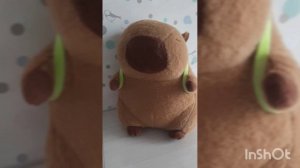 капибары застряли на занятии часть 1