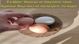 Я в Шоке! Никогда не покупайте куриные яйца пока не узнаете..