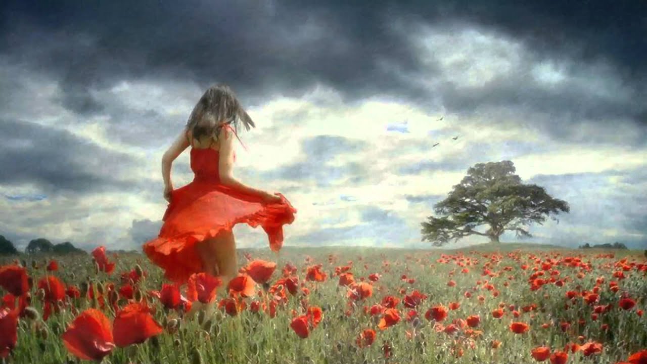 Force with Brian Hughes - Follow Your Dream смотреть онлайн