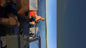 Рыбалка в десногорске