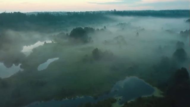 Мой храм - это лес смотреть онлайн