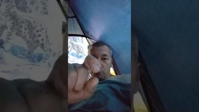 ХЯС. ЗОЛОТО ИЗ СВИНЦА. ХЯС. ЗОЛОТО ИЗ СВИНЦА.