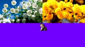 Подпишись #музыка  #лучшее  #видео