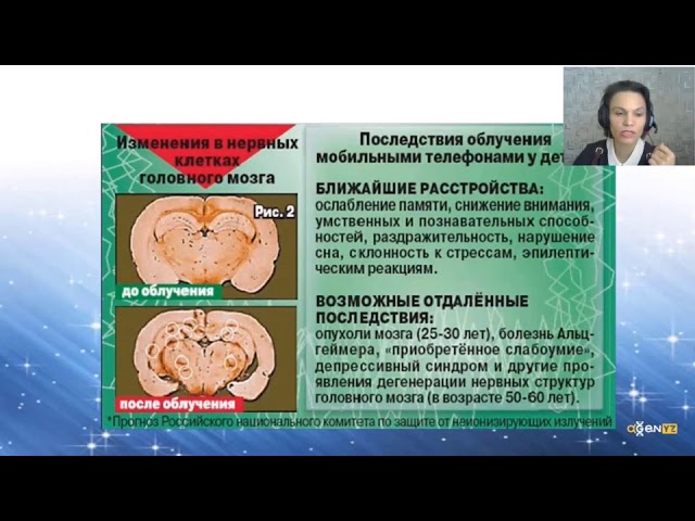 3G Sticker. Лебедева Марина