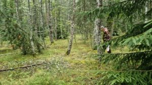 УТРОМ РАНО В ЛЕС. ДОМА ОПЯТЬ ДЕЛА. ПИСЬМА СЧАСТЬЯ. ЗАКАЗЫ С OZON.