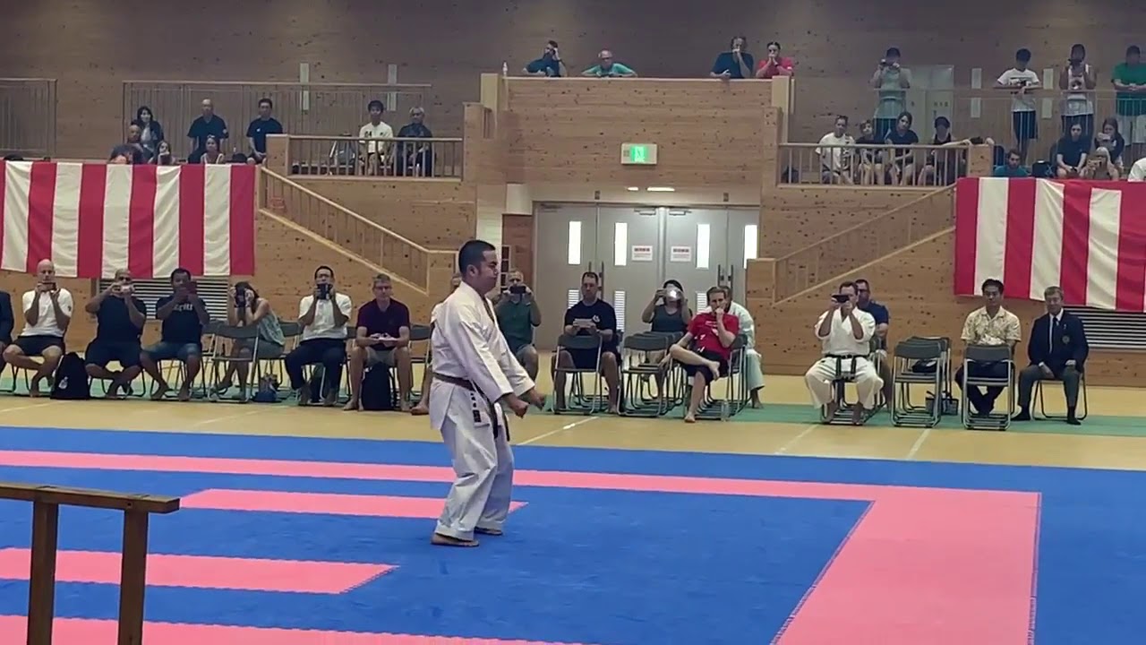 Seiryu (Seryu) kata Uechi ryu karate Kenyukai Shuichi Shinjo in Karate kaikan смотреть онлайн