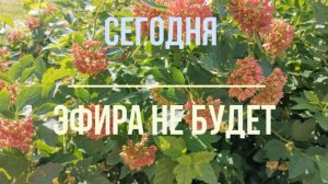 11.07.2026 эфира не будет