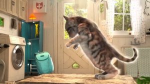 Приключенческие развивающие игры Little Kitten для дошкольников iOS Play Fun Cute Kitten О