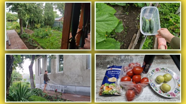 Зарядили дожди. Первые 🥒  Купили что то новенькое. Поливаю отмостку. Безымянная роза опознана