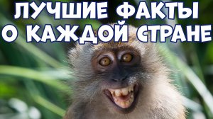 195 САМЫХ ИНТЕРЕСНЫХ ФАКТОВ О КАЖДОЙ СТРАНЕ МИРА