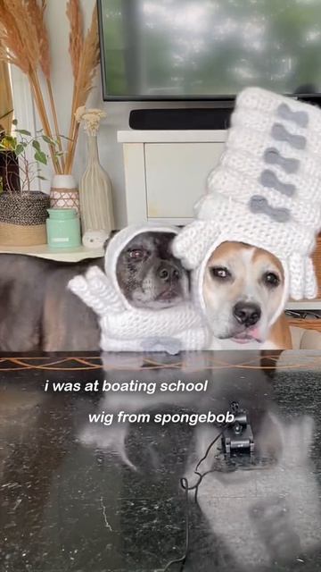 шапочки