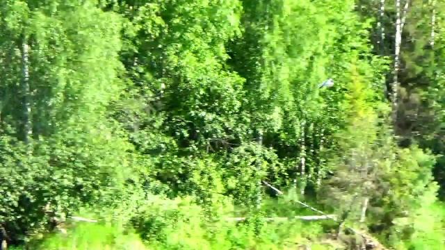 Рыбалка это труд или отдых #5 Зигзаги рыбалки